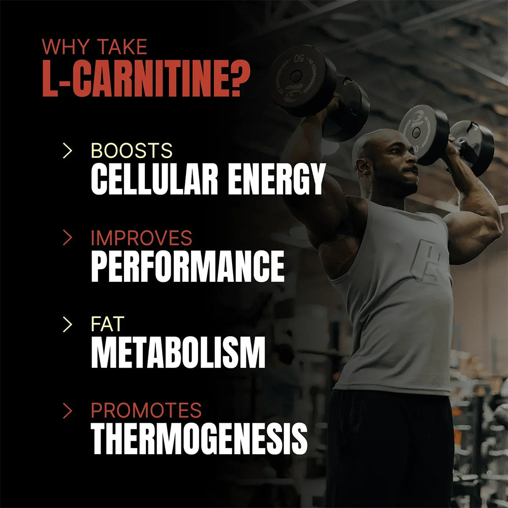 ProSupps L-Carnitine 3000 Liquid | Fat Metabolism Support | Sugar-Free | Weight Loss & Energy Booster (450ml / 30 Servings)