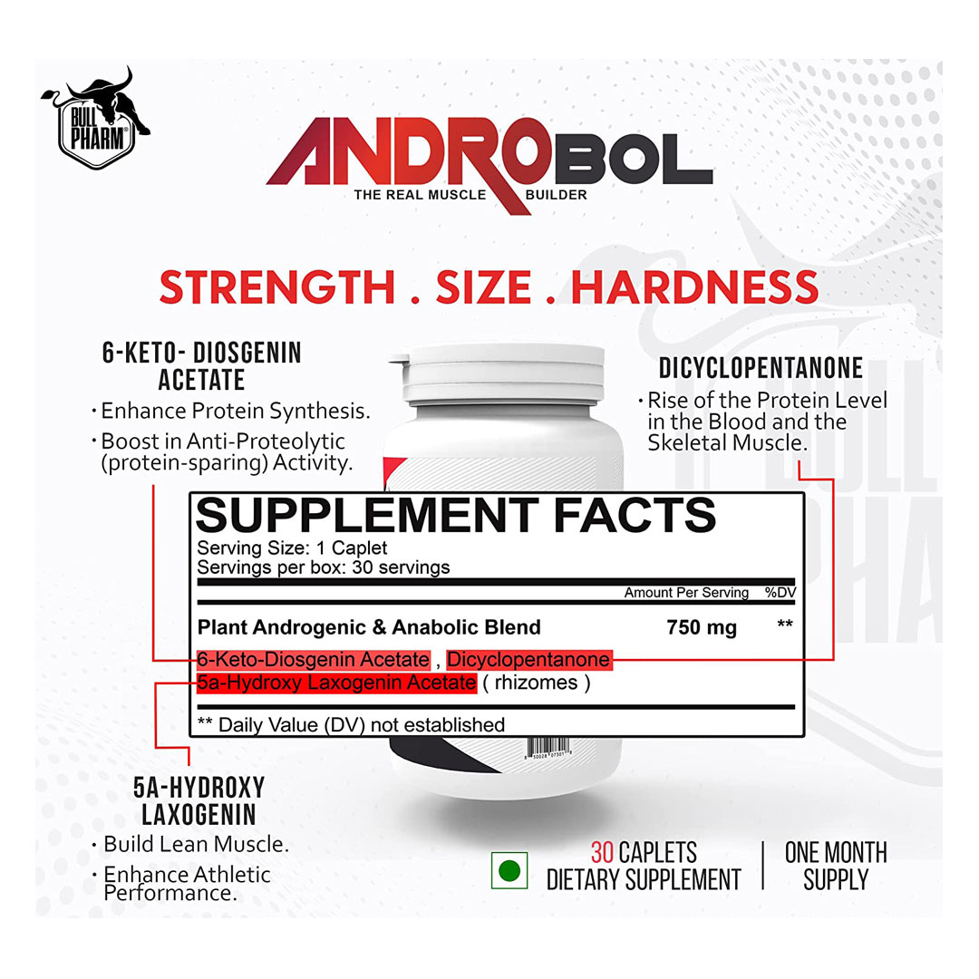 androbol-2