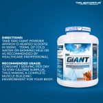 gaint website product details 2