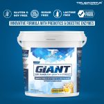 gaint website product details 3